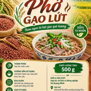 Bánh phở khô thương hiệu Bà Tôi